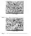 Fig. 02 - Additive for producing positive active compositions for lead accumulators