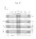 Fig. 34 - Three-dimensional semiconductor memory devices