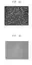 Fig. 03 - Bonded Substrate And Method Of Manufacturing The Same