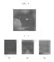 Fig. 04 - BONDED SUBSTRATE AND METHOD OF MANUFACTURING THE SAME