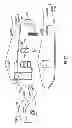 Fig. 37 - JOINT LOCKING ASSEMBLY AND METHOD