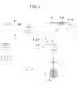 Fig. 02 - OPHTHALMIC APPARATUS, OPHTHALMIC IMAGE PROCESSING METHOD, AND RECORDING MEDIUM