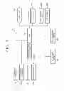 Fig. 08 - Optical coherence tomography and method thereof