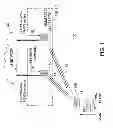 Fig. 02 - Optimizations for N-way gateway load balancing in fabric path switching networks