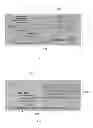 Fig. 02 - Methods for mobile image capture and processing of documents