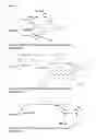 Fig. 06 - Polyanionic multivalent macromolecules for intracellular targeting of proliferation and protein synthesis