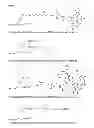 Fig. 08 - Polyanionic multivalent macromolecules for intracellular targeting of proliferation and protein synthesis