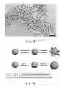 Fig. 09 - NUCLEIC ACID-MEDIATED SHAPE CONTROL OF NANOPARTICLES