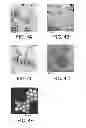 Fig. 08 - SYNTHESIS OF HIGH-PERFORMANCE IRON OXIDE PARTICLE TRACERS FOR MAGNETIC PARTICLE IMAGING (MPI)