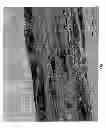 Fig. 12 - METHOD OF TREATING OR PREVENTING HEARING LOSS