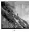 Fig. 16 - METHOD OF TREATING OR PREVENTING HEARING LOSS