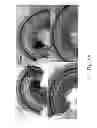 Fig. 24 - METHOD OF TREATING OR PREVENTING HEARING LOSS