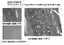 Fig. 01 - THERAPEUTIC AGENT FOR ISCHEMIC DISEASES