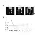 Fig. 02 - THERAPEUTIC AGENT FOR ISCHEMIC DISEASES