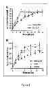 Fig. 03 - Methods For Increasing Blood Flow And/Or Promoting Tissue Regeneration