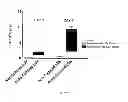 Fig. 06 - COMPOSITIONS AND METHODS FOR PROVIDING HEMATOPOIETIC FUNCTION WITHOUT HLA MATCHING