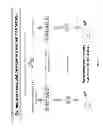 Fig. 07 - COMPOSITIONS AND METHODS FOR PROVIDING HEMATOPOIETIC FUNCTION