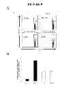 Fig. 07 - Methods and compositions for modulating peripheral immune function