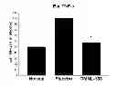 Fig. 01 - Composition and use of strain GMNL-133 in treating atopic dermatitis or other allergic diseases