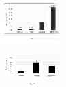 Fig. 04 - Composition and use of strain GMNL-133 in treating atopic dermatitis or other allergic diseases