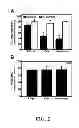 Fig. 03 - Methods of regulating uptake and transcellular transport of leukocytes and therapeutics