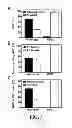 Fig. 04 - Methods of regulating uptake and transcellular transport of leukocytes and therapeutics