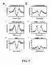 Fig. 08 - Methods of regulating uptake and transcellular transport of leukocytes and therapeutics