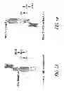 Fig. 02 - Polypeptide Heterodimers and Uses Thereof