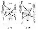 Fig. 08 - Polypeptide Heterodimers and Uses Thereof