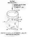 Fig. 01 - Polymer-encapsulated nanoparticle systems