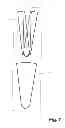 Fig. 06 - Dental implant system