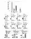 Fig. 02 - DESIGN OF STEM-LOOP PROBES AND UTILIZATION IN SNP GENOTYPING