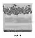 Fig. 02 - Materials and methods for detecting the aryloxyalkanoate dioxygenase gene () in plants