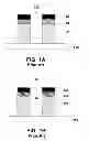 Fig. 02 - Post-etch treating method