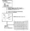 Fig. 01 - MULTIPLEX AMPLIFICATION OF POLYNUCLEOTIDES