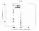Fig. 09 - METHODS AND COMPOSITIONS FOR THE ASSESSMENT OF DRUG RESPONSE
