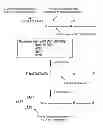 Fig. 01 - RIBONUCLEOTIDE TAG NUCLEIC ACID DETECTION