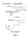 Fig. 02 - RIBONUCLEOTIDE TAG NUCLEIC ACID DETECTION
