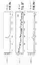 Fig. 04 - RIBONUCLEOTIDE TAG NUCLEIC ACID DETECTION