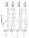 Fig. 05 - RIBONUCLEOTIDE TAG NUCLEIC ACID DETECTION
