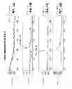 Fig. 07 - RIBONUCLEOTIDE TAG NUCLEIC ACID DETECTION