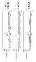 Fig. 08 - RIBONUCLEOTIDE TAG NUCLEIC ACID DETECTION