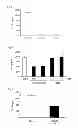 Fig. 02 - CELL CAPABLE OF EXPRESSING TSLP CONSTANTLY AND AT HIGH LEVEL, AND METHOD FOR SCREENING FOR TSLP MODULATOR UTILIZING THE CELL
