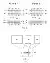 Fig. 13 - Methods for manufacturing molecular arrays