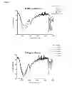Fig. 04 - Therapeutic conjugates