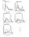 Fig. 10 - Therapeutic conjugates