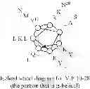 Fig. 34 - Highly active polypeptides and methods of making and using the same