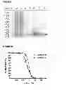 Fig. 09 - Lectins and uses thereof