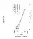 Fig. 30 - TRAIL R2-specific multimeric scaffolds