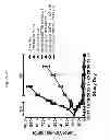 Fig. 41 - TRAIL R2-specific multimeric scaffolds